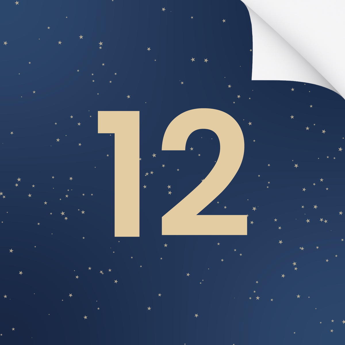 SECRET CURL CALENDAR DAY 12