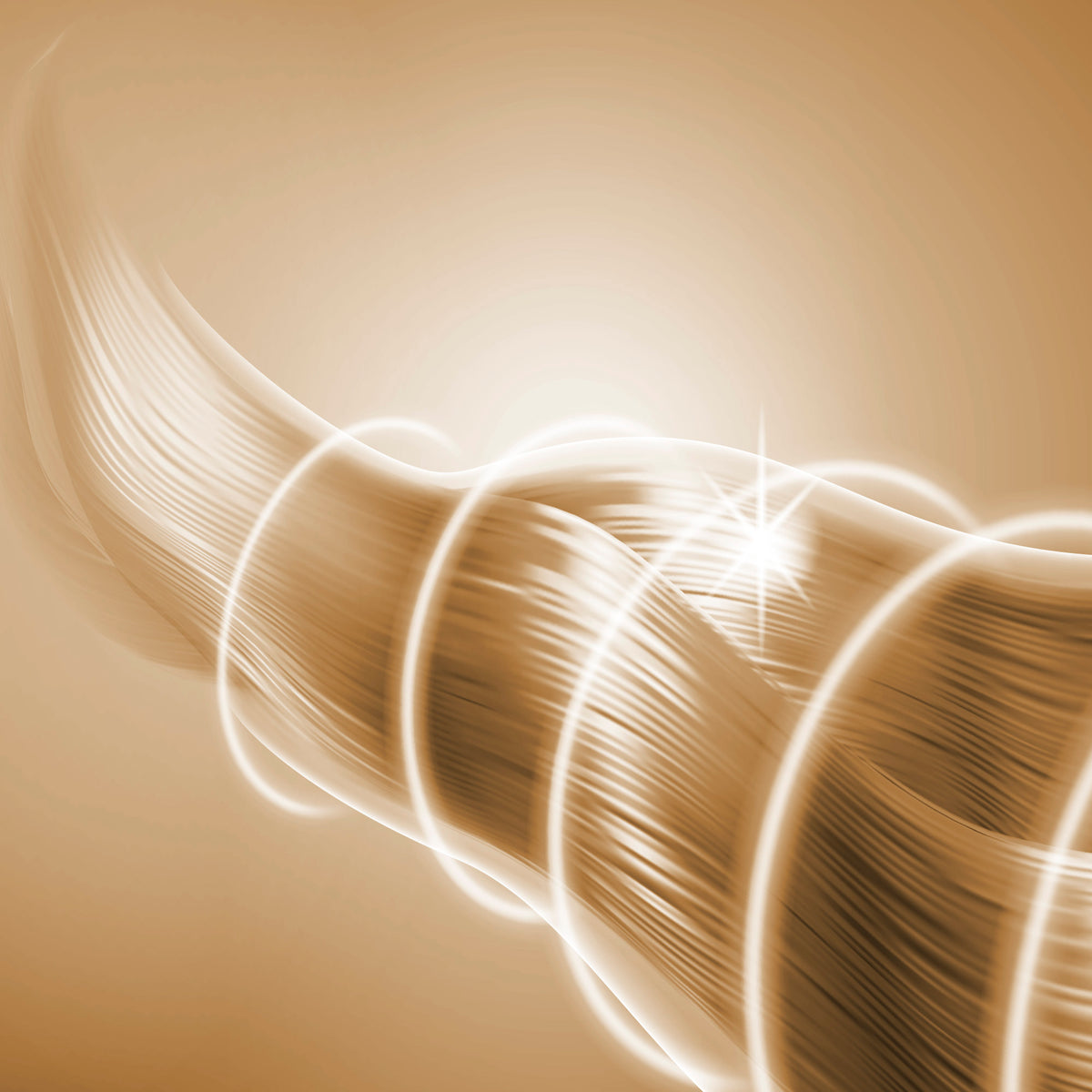 Defrizzion Dryer - Travel Edition